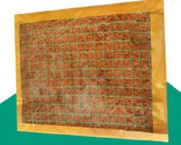 Veģetācijas paklājs